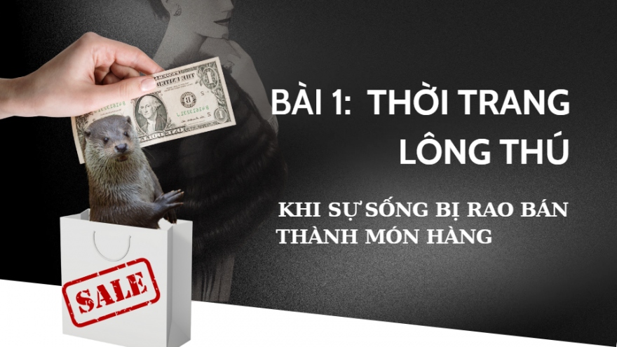 Thời trang lông thú - Khi sự sống bị rao bán thành món hàng